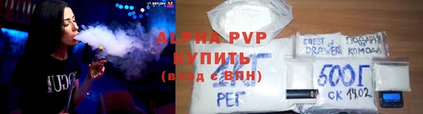 индика Белоозёрский
