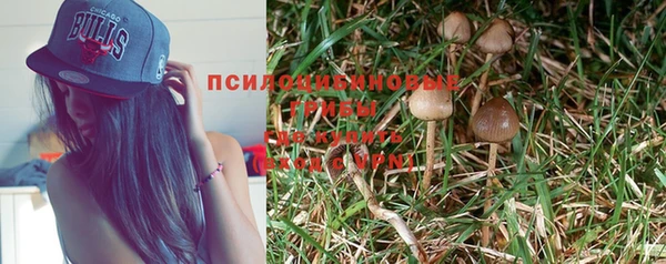 метадон Липки