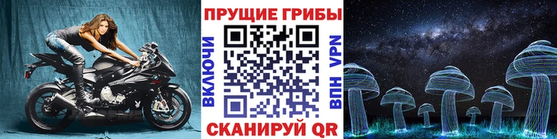 Псилоцибиновые грибы Psilocybe  Устюжна 